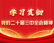 学习贯彻党的二十届三中全会精神