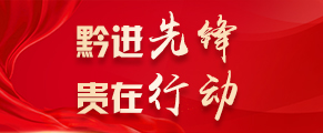 黔进先锋·贵在行动